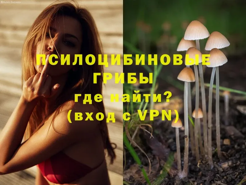 Псилоцибиновые грибы MAGIC MUSHROOMS  купить наркоту  Кондопога 